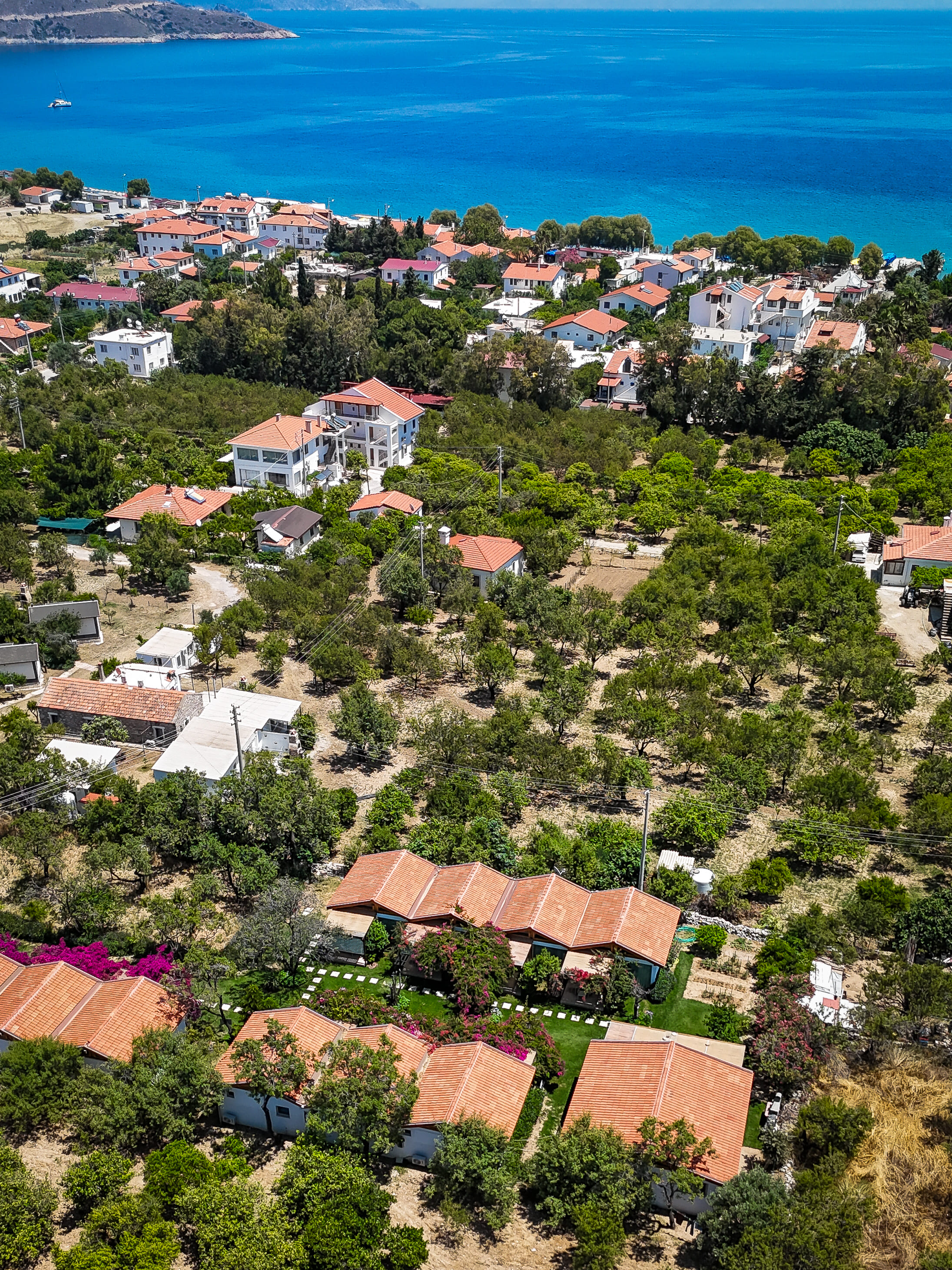 Mandalin Suites Bahçe